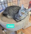 Maggy-Sponsored - Photo 3