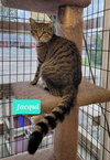 Jacqui-Sponsored - Photo 2
