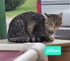 Jillian-Sponsored - Photo 2