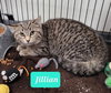 Jillian-Sponsored - Photo 3