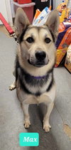 Max - Photo 3