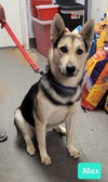 Max - Photo 4