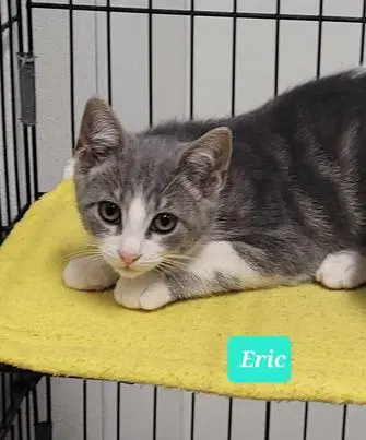 Eric image 2