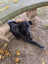 Chong-Sponsored - Photo 2