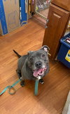 Nala-Sponsored - Photo 2
