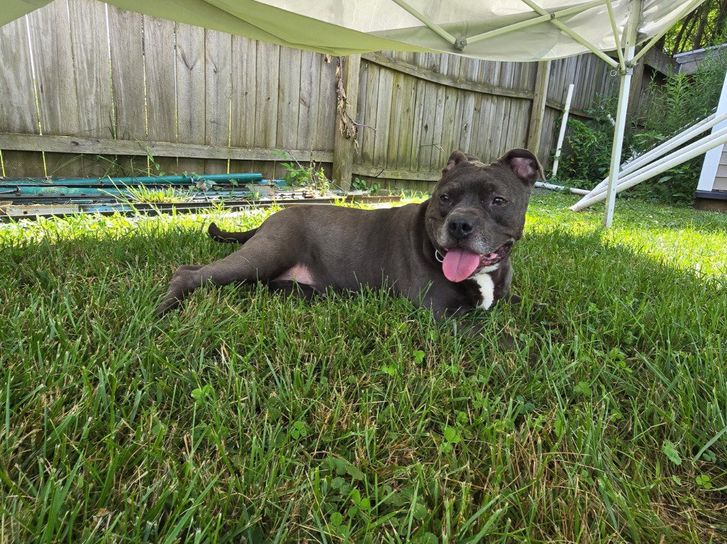 Nala-Sponsored, photo 2