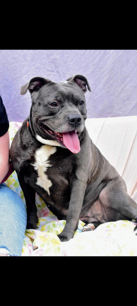 Nala-Sponsored, photo 3