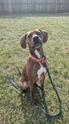 Maggie - Photo 1