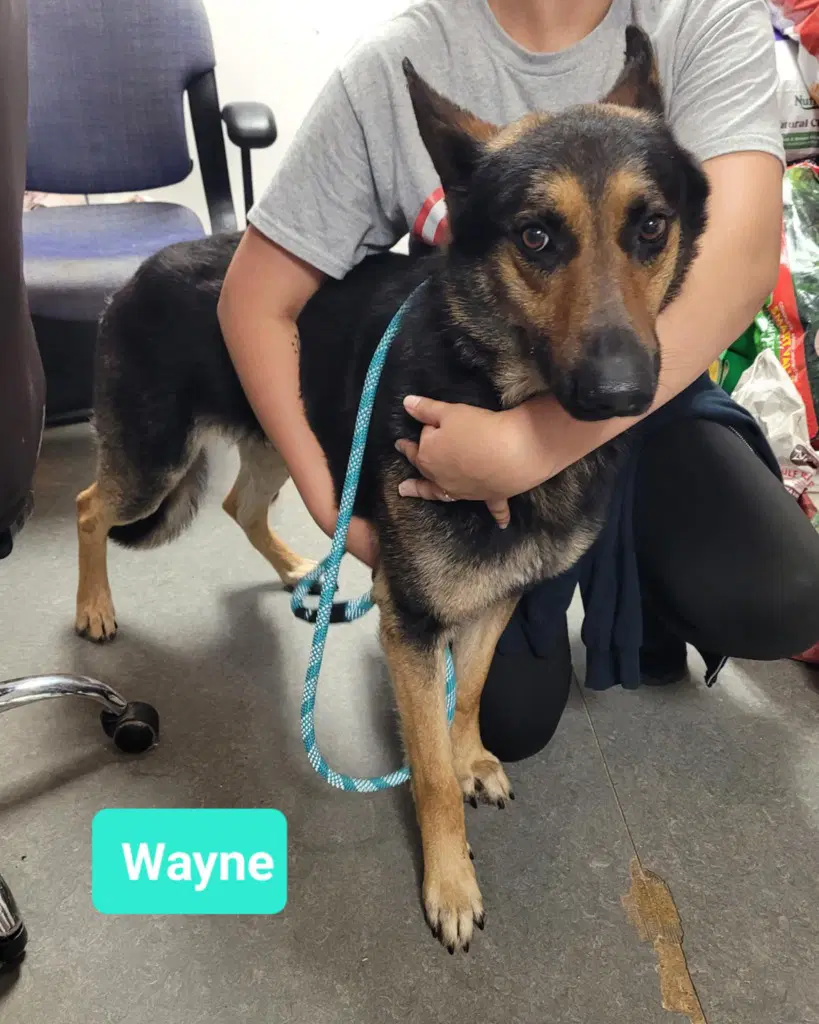 Wayne-Sponsored image 3