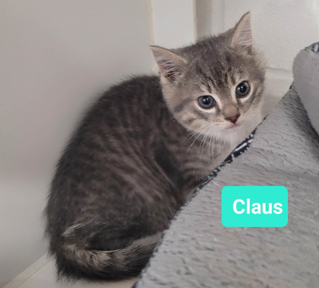 Claus Image