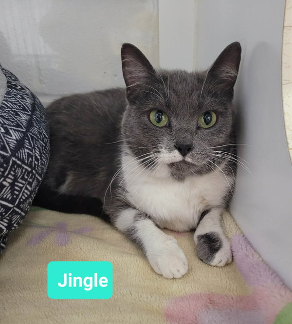 Jingle-Sponsored