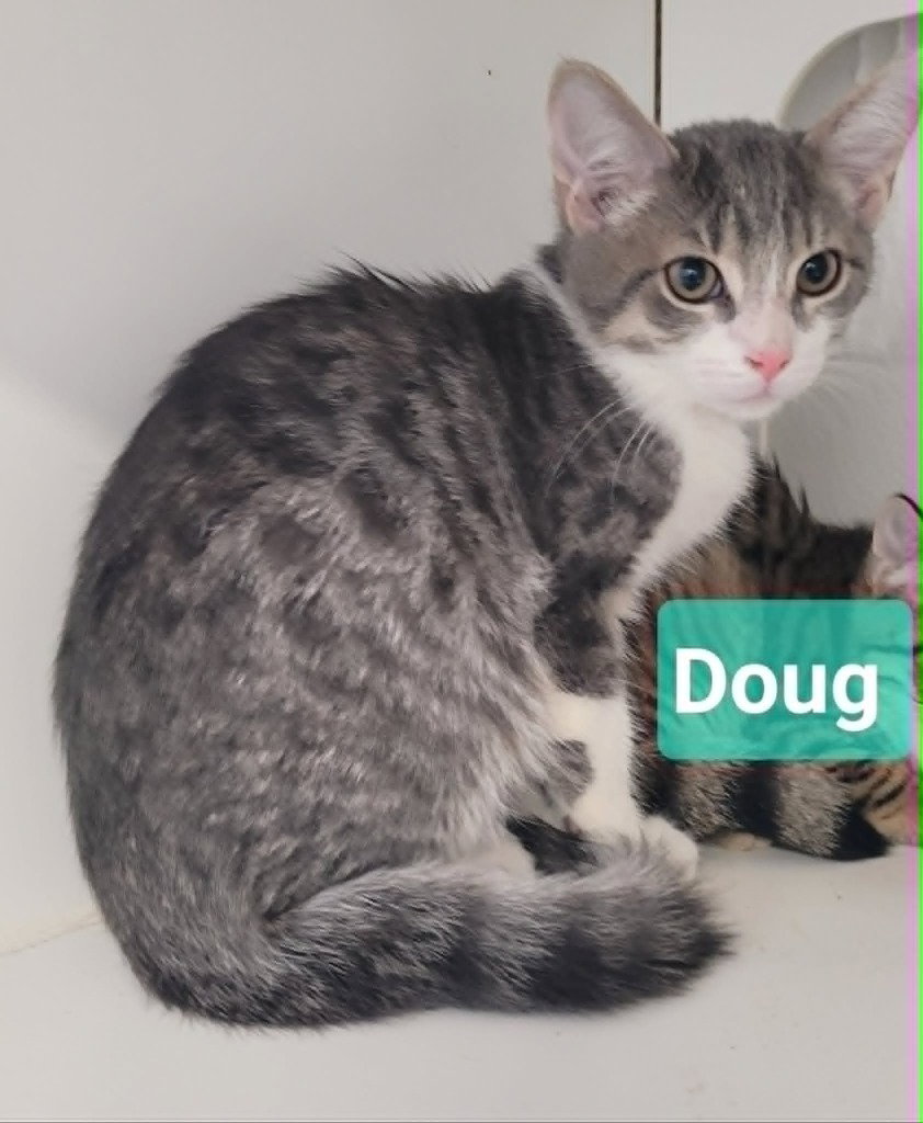 Doug, photo 2