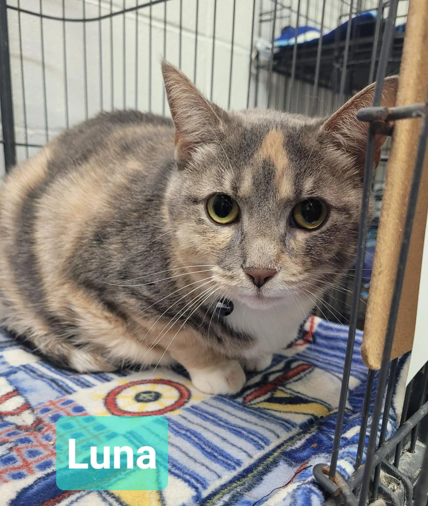 Luna