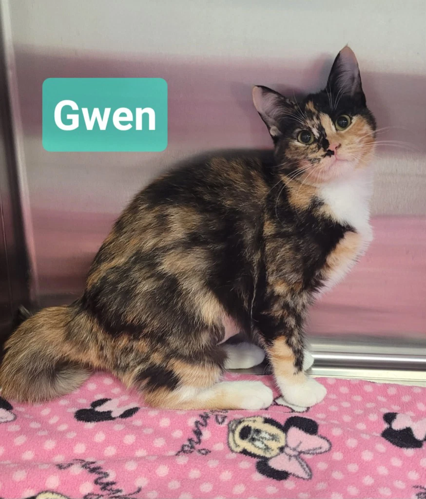 Gwen