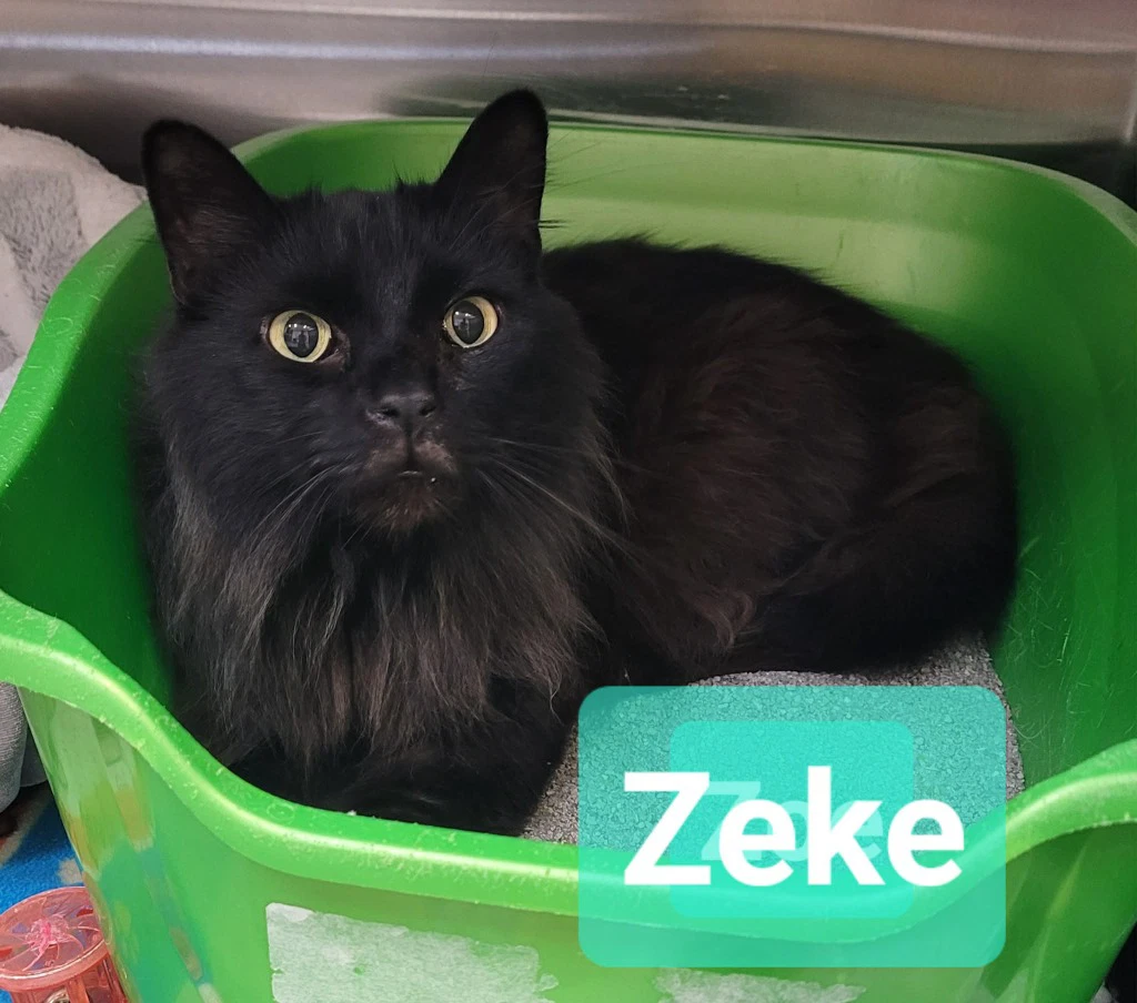 Zeke