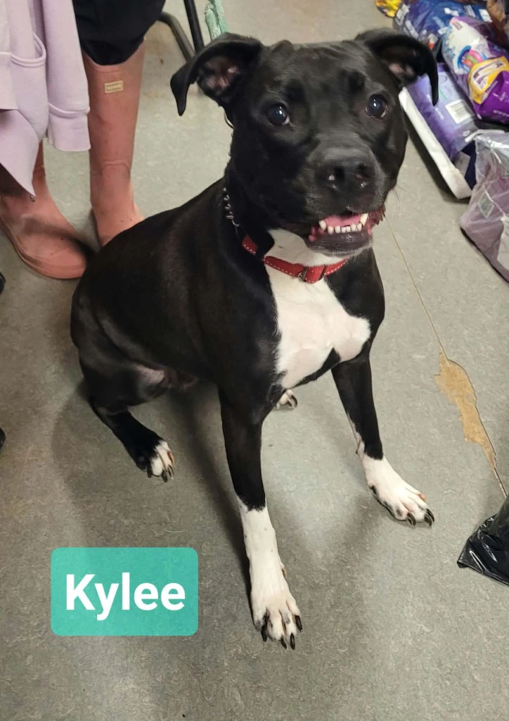 Kylee