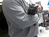 adoptable Cat in fayetteville, NC named A409529