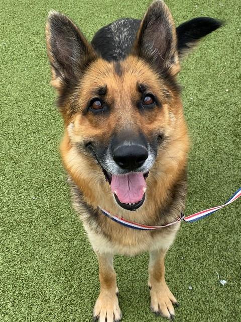 NALA