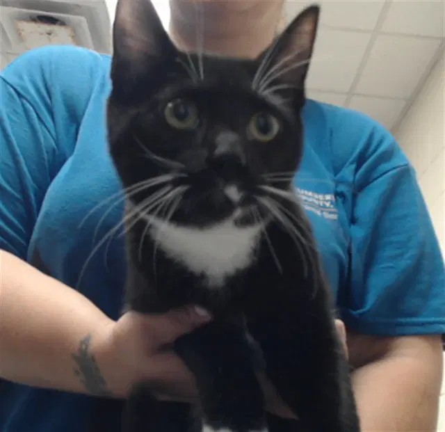 Miriam image 1
