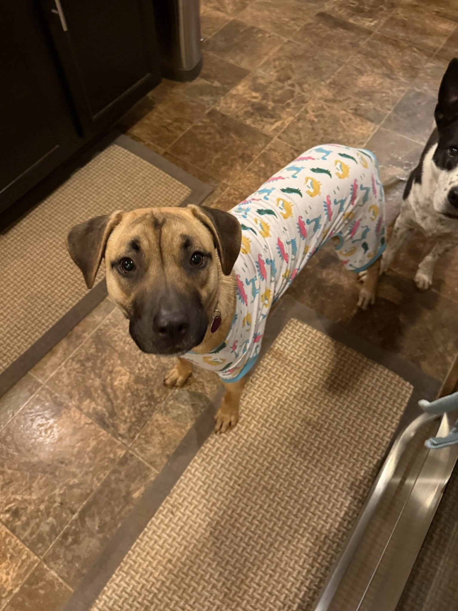 Janet *FOSTER-TO-ADOPT?