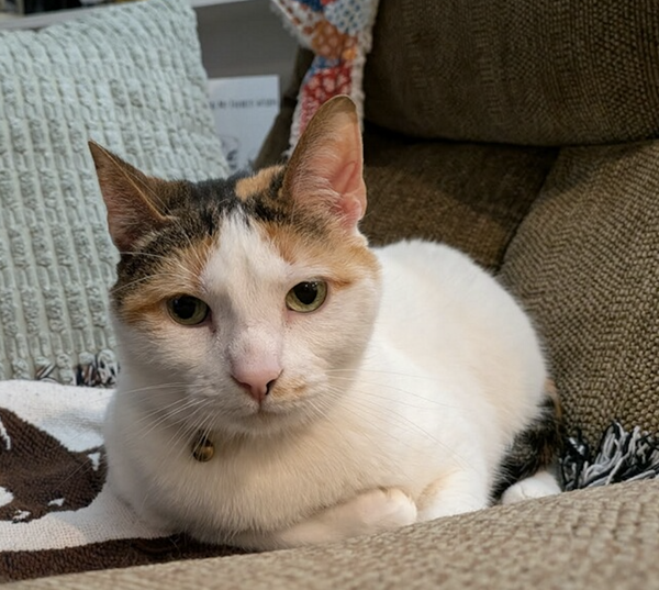 Josephine