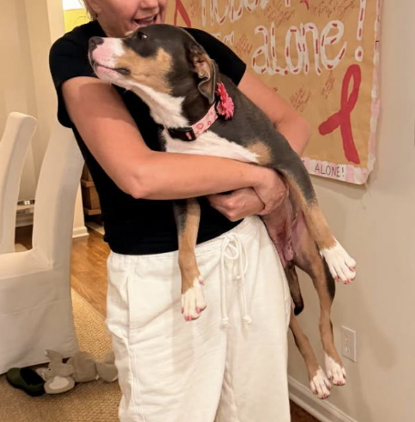 Mama *URGENT FOSTER NEEDED TOO photo 4