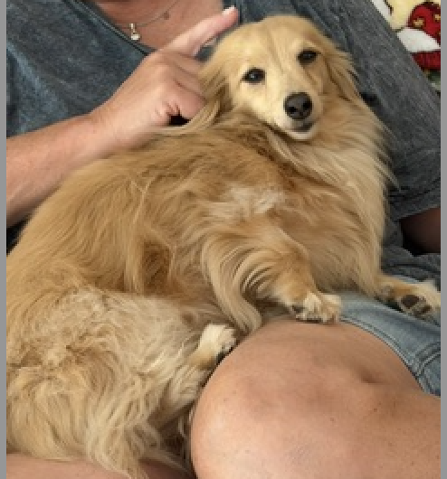 Abby Bonded With Bb photo 3