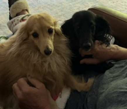 Abby bonded with BB