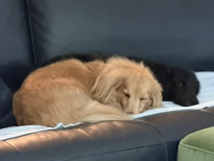 Bb Bonded To Abby photo 5