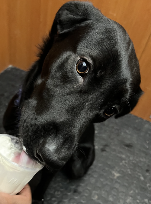 Banko photo 3