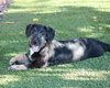 Knox - Photo 3