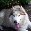 Beatrice - Photo 4