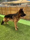 Ragnar - Photo 2