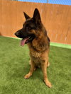 Ragnar - Photo 3