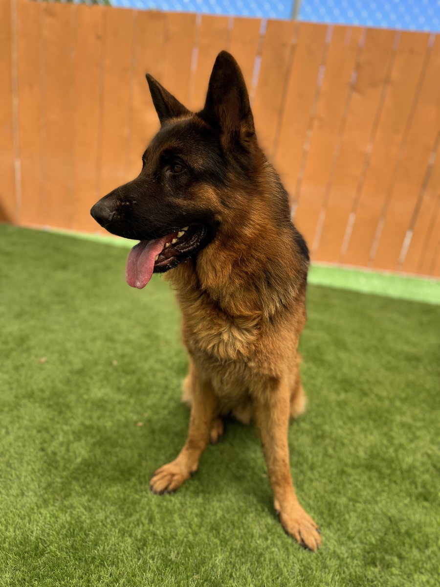 Ragnar