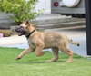 Delta - Photo 3