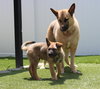 Delta - Photo 4
