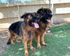 Mabel - Photo 3
