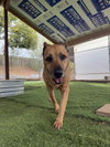 Timmy - Photo 2