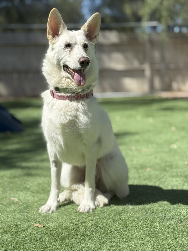 Freya