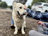 Rocco - Photo 1