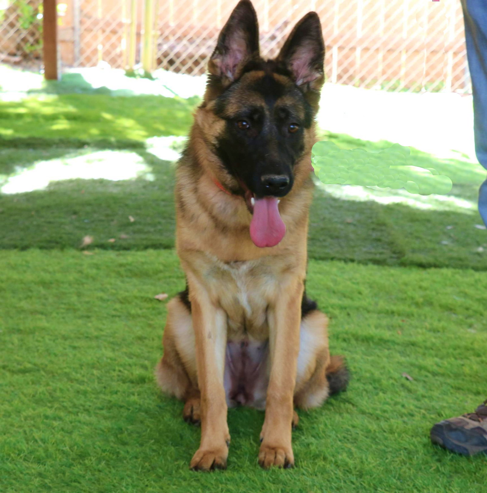 Lucy