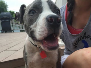 Duke