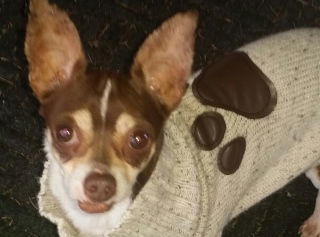 Charlie