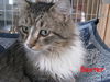 Baxter