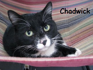 Chadwick