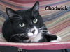 Chadwick