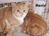 Menlo