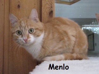Menlo