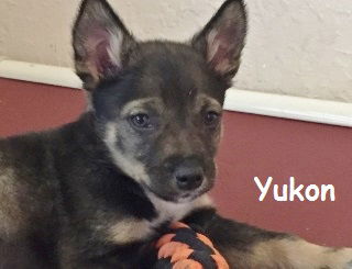 Yukon